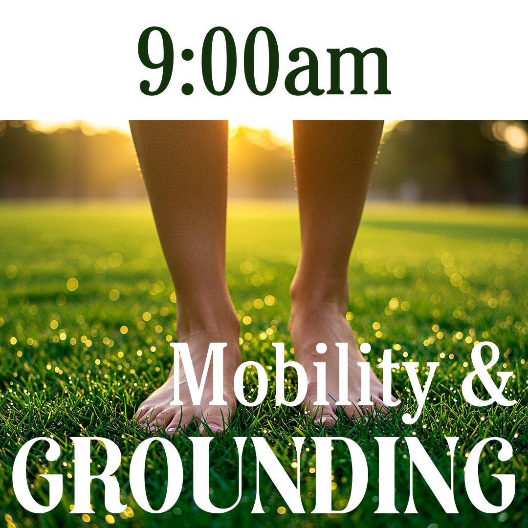 Mobility & Grounding