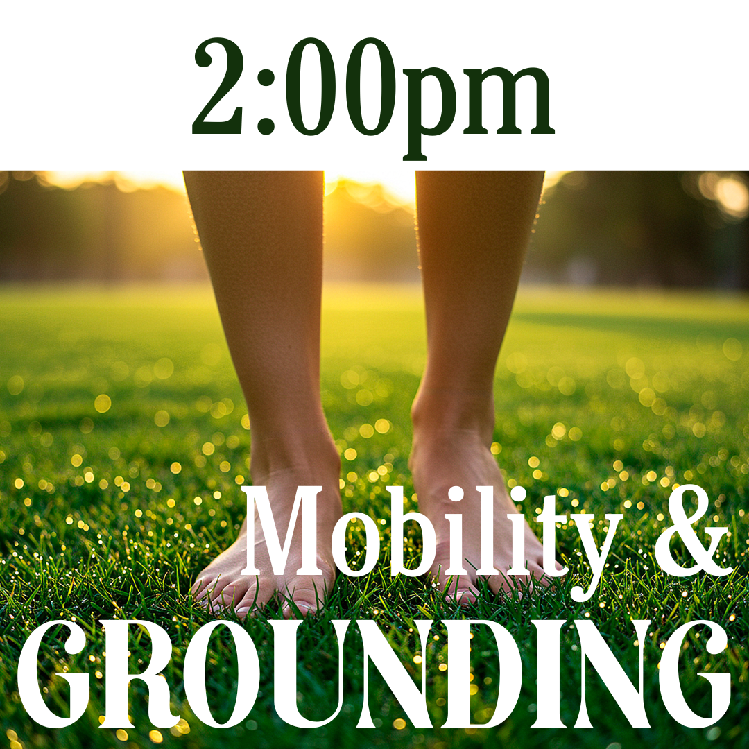 Mobility & Grounding
